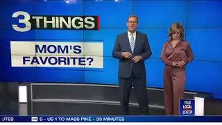 Fox25 Elizabeth Hopkins in silk pants and silk blouss