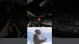 Dhor Monkey Reacts to VTEC Sound | Crazy Engine Noise!