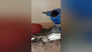 Забытый Зверь, Viper Sport.