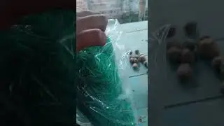 Hi guys description box net buy link 9 January 26