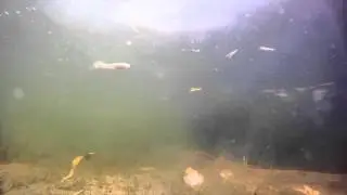 Jr NAILER.mp4