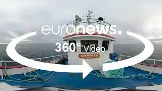 Fish stocks &ldquo;much better&rdquo; than twenty years ago