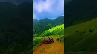 Beautiful view of Gilan In Iran 🇮🇷. #greenary #views #best #enjoylife #morningview #gorgeousviews