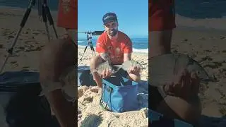 Ant&oacute;nio Reis | Open Praia Quiaios #Shorts #Pesca #Surfcasting