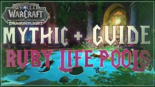 Quick-Hit Guide to Ruby Life Pools | WoW Dragonflight M+