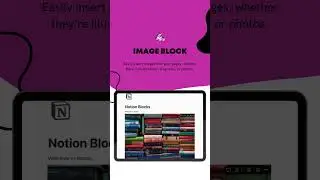 Notion Beginner Series: Episode 3 - Exploring Notion Blocks