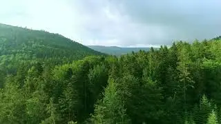 LIBERO PER NATURA (Trailer)
