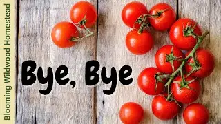 Tomato Shortage - What You NEED To Know
