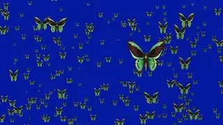 Flying Green Butterfly Blue Screen Background Video
