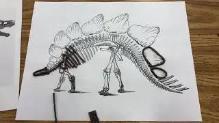 Fossil project