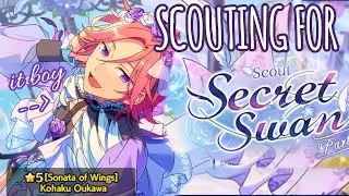 engstars secret swan scout for kohaku