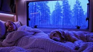 Relaxing Thunderstorm and Rain Sounds for Better Sleep Quality