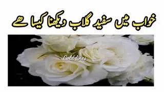 Khawab me sufeed Gulab ka Phool Dekhna KESA ha.urdu/ Hindi Gold lines.