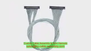 Customizable Electrical Wire Harness with 2pin-16Pin Terminal Or Can Be Customized Material Flame Re