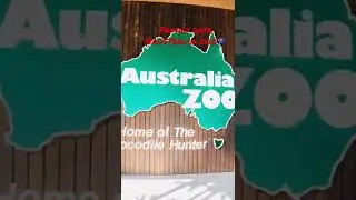 Australia Zoo #familydate #familyvlog#shorts #visitqueensland