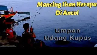 Mancing di Ancol Dapat  Kerapu