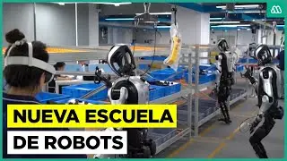 Aprender&aacute;n a trabajar y a hacer labores dom&eacute;sticas: Abrir&aacute;n escuela para robots en Pek&iacute;n