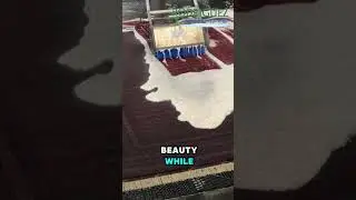 Louisville KY Oriental Rug Cleaning Services