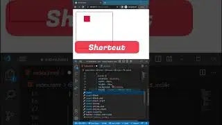 CSS Shortcut You Must Know