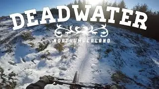 Deadwater, Kielder Forest
