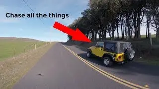 FPV Drone Explores California Coast
