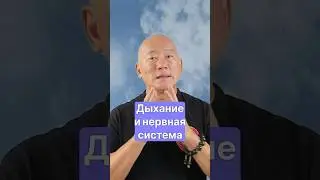 Дыхание и нервная система | Гранд Мастер Сонг Парк | Академия Киайдо