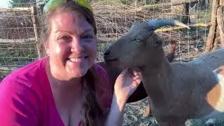 IT CAN HAPPEN!  Change your thoughts on ANIMAL PROCESSING, if I can, anyone can.