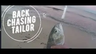 Early Morning Tailor to Break the Lockdown: Catch and Cook