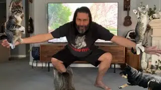Body Weight Calisthenics With (Or Without) Pets For Injury Prevention, Improved Mobility & Strength!