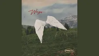 Wings