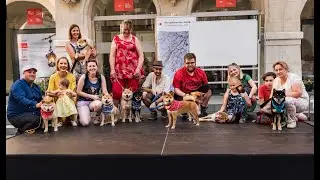 Japonský deň 2019_NATSUMATSURI_SHIBA INU SLOVAKIA (English subtitles)