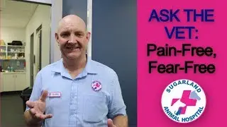 ASK THE VET: How do we ensure a pain-free and a fear-free experience?