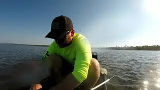 Hogtown Bayou Again