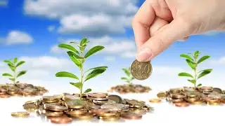 Trading Online - La qualit&agrave; degli investimenti parte 1