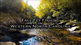 Fall Fly Fishing for Browns and Rainbows! || Western North Carolina