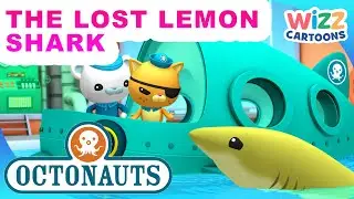 ​@Octonauts - The Lost Lemon Shark 🍋🦈  | Series 1 | Full Episode 42 | @WizzCartoons