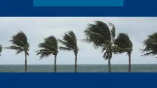 Miami Home Inspections | Florida Inspections Unlimited