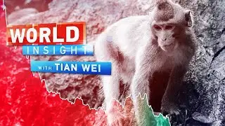 2022/07/25 Why Monkeypox Outbreak's a WHO Global Emergency