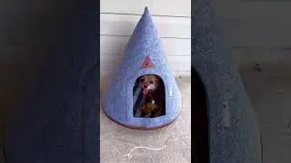 Nooee Pet Cave (Bed)