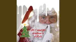 All I Want for Christmas Is ANAL