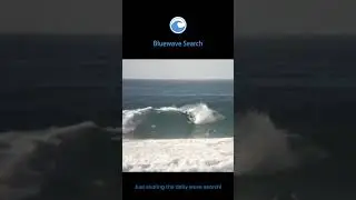 Alexandre Herdy #surfing #bluewavesearch