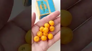 Miniature Oranges