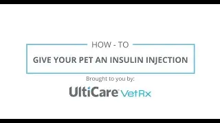 UltiCare VetRx | How to Give Your Pet an Insulin Injection