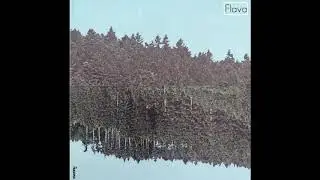 Flava EP by M a n n y