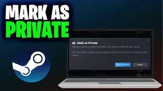 How to Private Games in Steam (Full 2025 Guide)