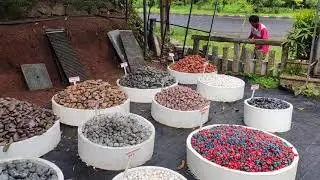 Indoor &#outdoorpebbles | #Pebbleshop visit |Home #Gardening Ideas #Rich stones 🧱₹5/-#bangalorestone