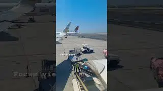 Loading luggage gulf air #Focusview #gulfair #bahrain #chennaiairport
