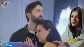New ! Sher Episode 22 Teaser | Danish & Sara | Sher Drama Episode 22 Teaser Review | Pk Drama Expert