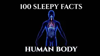 100 Strange Facts About the Human Body &mdash; Fall Asleep to Science