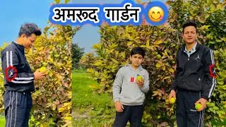 ਅਸੀ ਖਾਧੇ ਅਮਰੂਦ 😜#shorts vlog 😎